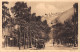 31-LUCHON-N° 4406-E/0027 - Luchon