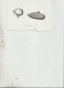 Annecy 74 Carte Circulée Pommes De Mer Collage De Jerome Coignard Tirés De Son Ouvrage Quand Les Poules Auront Des Dents - Annecy