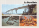 17-LA TREMBLADE-N° 4410-D/0111 - La Tremblade