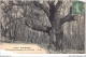 ABCP4-92-0359 - ROBINSON - Un Coin Pittoresque De La Forêt - Le Plessis Robinson