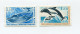 T. A. A. F. N°64 / 65 **  CETACES - Unused Stamps