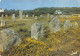 56-CARNAC-N° 4417-D/0203 - Carnac