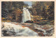 65-CAUTERETS-N° 4417-D/0141 - Cauterets