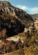 48-GORGES DU TARN LES DETROITS-N° 4417-C/0341 - Gorges Du Tarn