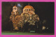 311369 / Bulgaria - Sofia - Night Patriarchal Cathedral Of "St. Alexander Nevsky" Building PC Photo Al. Schrock MSG USA - Bulgarien