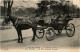 Paris - Les Femmes Cocher - Trasporto Pubblico Stradale