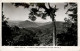 Panorama From Cunningham Gap Near Warwick - Sonstige & Ohne Zuordnung