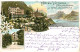 13558912 Faulensee Thunersee Hotel Victoria Faulenseebad Entree De L Hotel Faule - Autres & Non Classés