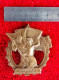 ORIGINAL CZECH BADGE WW2, TYRSUV ODZNAK ZDATNOSTI+VINTAGE+BRONZE+RARE NUMBERED+BADGE - Vereinswesen