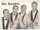 C6272/ Die Bambis  Beat- Popband Autogramm Autogrammkarte 15 X 11,5 Cm 60er - Autographes