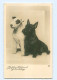 T5832/ Hunde Terrier Schöne Foto AK 1937 - Dogs