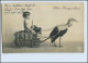 T3962/ Storch Und Baby  "Ohne Bezugssschein" Foto AK 1917 - Birds