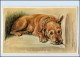 Y4759/ Schöne Hunde AK   Valentine`s Postcard  Ca.1930  - Dogs