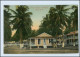 N9805/ Cristobal  Palm Avenue, Canal Zone  Panama AK Ca.1910 - Autres & Non Classés