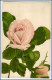 Y2283/ Blumen Rosen AK "Idealdruck V. D & S.B. Nr. 1038"  Ca.1910 - Andere & Zonder Classificatie