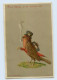 W9W25/ Menschlicher Vogel Raucht Pfeife  Meissner & Buch Litho AK Singvogel 1907 - Chiens