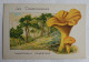 CHROMO CHAMPIGNON LES CHAMPIGNONS CHANTERELLE - Sonstige & Ohne Zuordnung