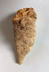 Stalactite 42 Grammes 73 Mm X 27 Mm Origine France - Mineralien