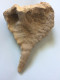 Stalactite 134 Grammes - 9 X 6.5 X 5 Cm - Mineralien