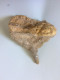 Stalactite 134 Grammes - 9 X 6.5 X 5 Cm - Minerali