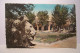 IFRANE   -  Le Lion Et L'Hotel Felix  -  ( Pas De Reflet Sur L'original ) - Other & Unclassified