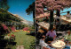 13355043 Ascona Lago Maggiore Albergo Ascona Restaurant Terrasse Ascona Lago Mag - Altri & Non Classificati