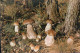 Cpsm Les Pyrénées Cueillette De Champignons Dans Nos Forêts - Mushrooms