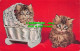 R522366 Greeting Card. Two Kittens. J. Salmon. 1957 - Monde