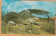 Aruba Old Postcard Mailed - Aruba