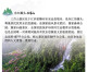 China Self Service Color Label Package Sticker 2024-9 Dongjiang Source "Three Hundred Mountains" TS71 - Enveloppes