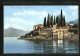 Cartolina Punta S. Vigilio, Uferpartie Am Gardasee  - Autres & Non Classés