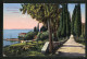 Cartolina Punta S. Vigilio, Cipressaio, Lago Di Garda  - Sonstige & Ohne Zuordnung