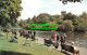 R523505 London. St. James Park. Postcard - Other & Unclassified