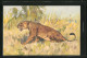 Künstler-AK Aggressiv Fauchender Weiblicher Löwe  - Tigres