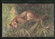 Künstler-AK Leopard Verbirgt Sich Im Unterholz Des Dschungels  - Autres & Non Classés