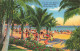73973358 Miami_Beach Sun Bathers Under The Palms Illustration - Autres & Non Classés