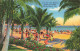 73973358 Miami_Beach Sun Bathers Under The Palms Illustration - Other & Unclassified