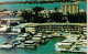 73949021 Miami_Beach Harbour West Yacht Club Aerial View - Autres & Non Classés