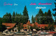 73764066 Lake_Arrowhead_California The Recreational And Shopping Center - Autres & Non Classés