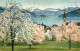 13298460 Luzern LU Seepartie Im Fruehling Luzern LU - Autres & Non Classés