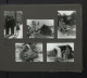 Delcampe - Fotoalbum Mit 199 Fotografien, Ansicht Fehmarn, Familie Hess Auf Reise Mit VW Käfer Nach Der Ostsee, 1959  - Alben & Sammlungen