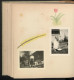 Delcampe - Fotoalbum Mit 213 Fotografien, Ansicht St. Moritz, Olympische Winterspiele 1948, Genf, Aarau  - Albums & Collections