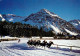 13269112 Arosa GR Pferderennen Obersee  Arosa GR - Sonstige & Ohne Zuordnung