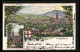 Lithographie Freiburg I. B., Kirche, Ortsansicht Mit Bergpanorama, Wappen  - Freiburg I. Br.