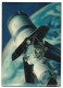 3D-AK Lunar Module Apollo Missionen  - Photographie