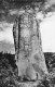 22 TREBEURDEN LE MENHIR - Trébeurden