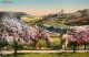 73816920 Banz Schloss Bad Staffelstein Panorama  - Staffelstein