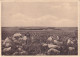 Lusinga La Grande Plaine Herbeuse Où Apparaissent Des Affleurements Rocheux Photo  GF Le Blanc 3 718 - Belgisch-Congo