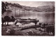 LE PORT DE L ABBAYE D'HAUTECOMBE (carte Photo) - Other & Unclassified