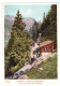 CHAMONIX Route De Montanvert - Halte Au Chalet Des Caillets (carte Animée) - Chamonix-Mont-Blanc